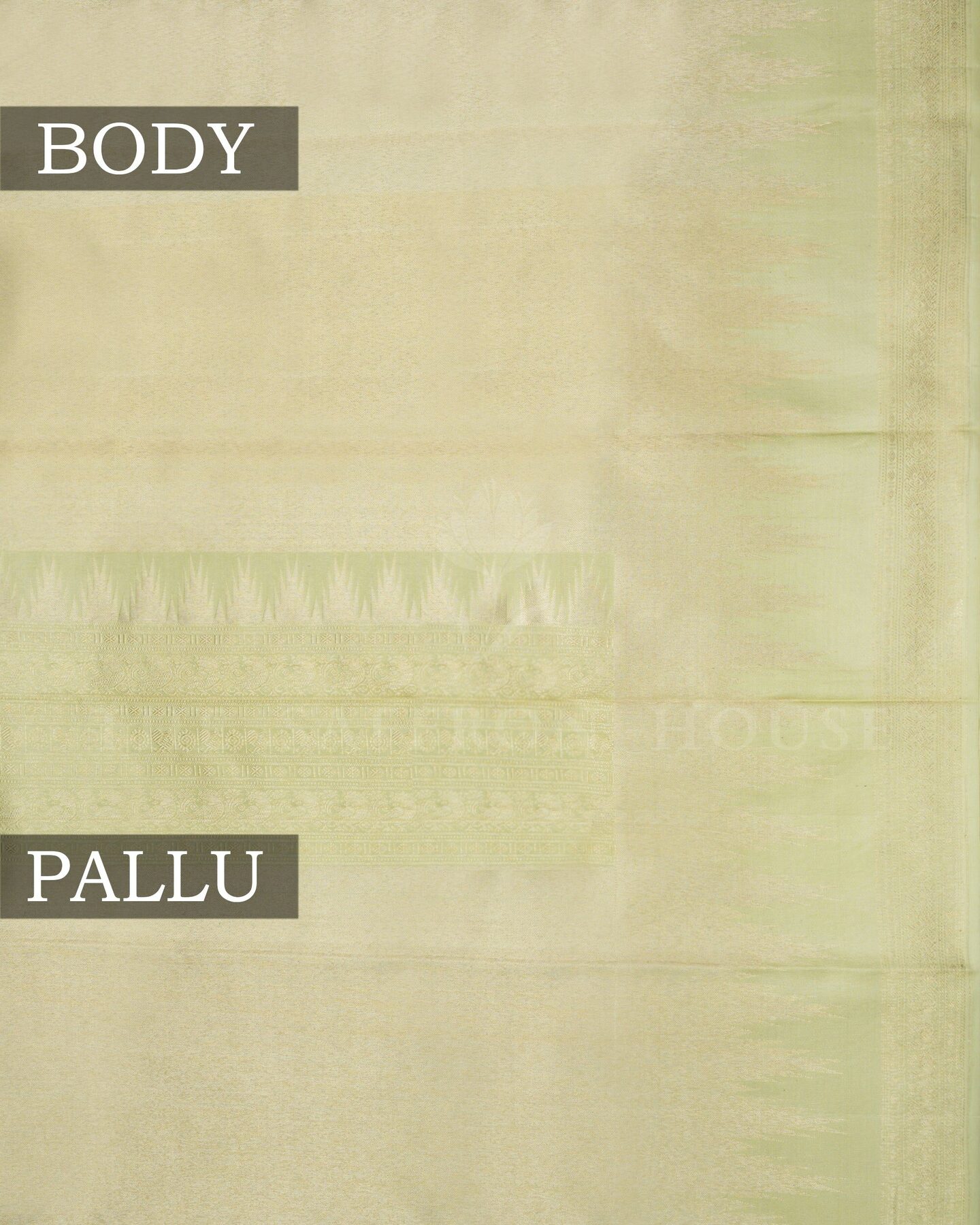 Pistachio Green Tissue Kanjivaram Silk Saree – The Saffron House