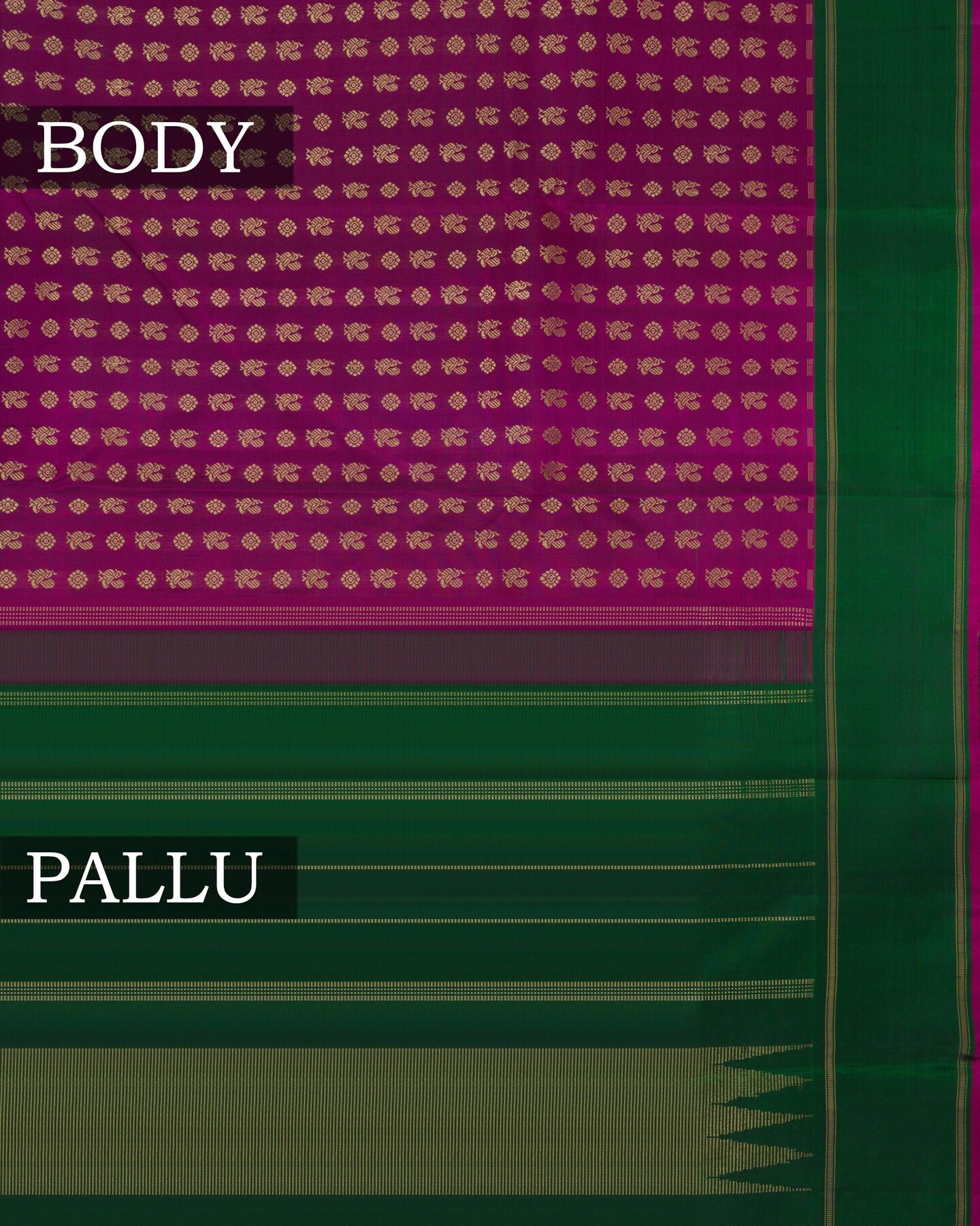 Purple And Bottle Green Korvai Kanjivaram Silk Saree – The Saffron House